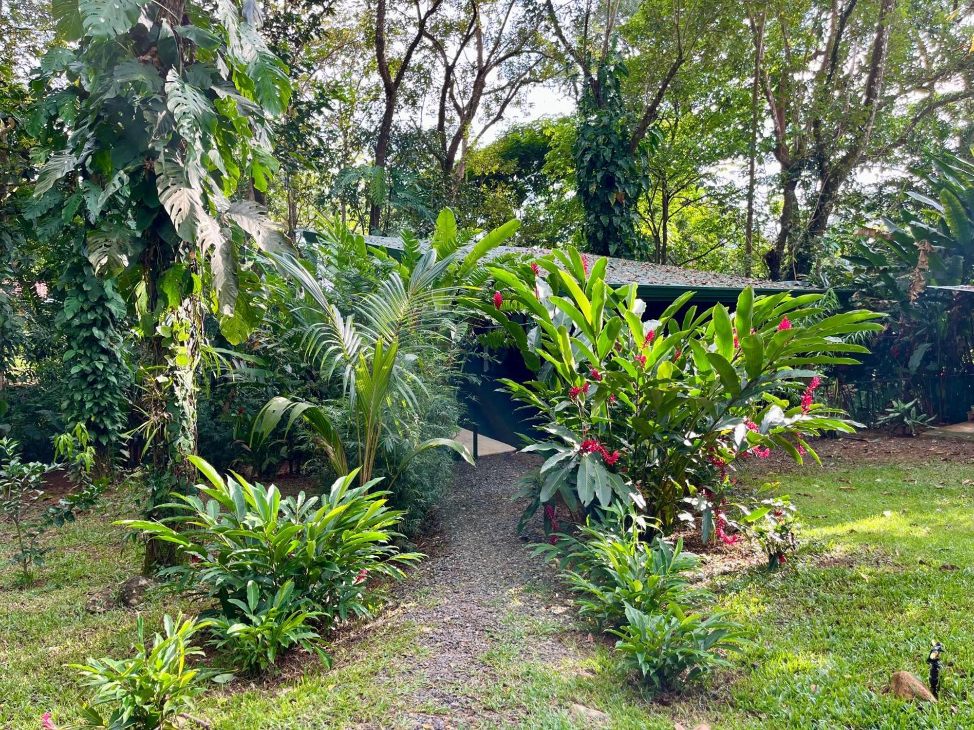 Industrial Studio With Private Jacuzzi Uvita Exterior photo